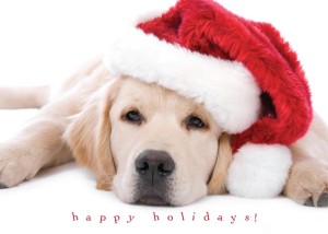Gift Ideas for Family Members